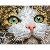 Diamond Dotz Kit - Green Eyed Beauty