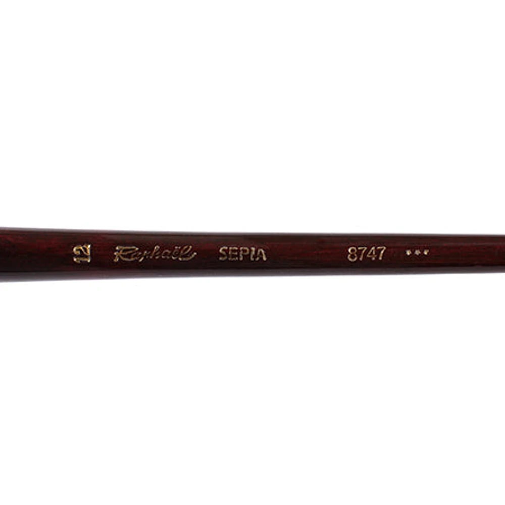 Sepia Acryl Paintbrushes