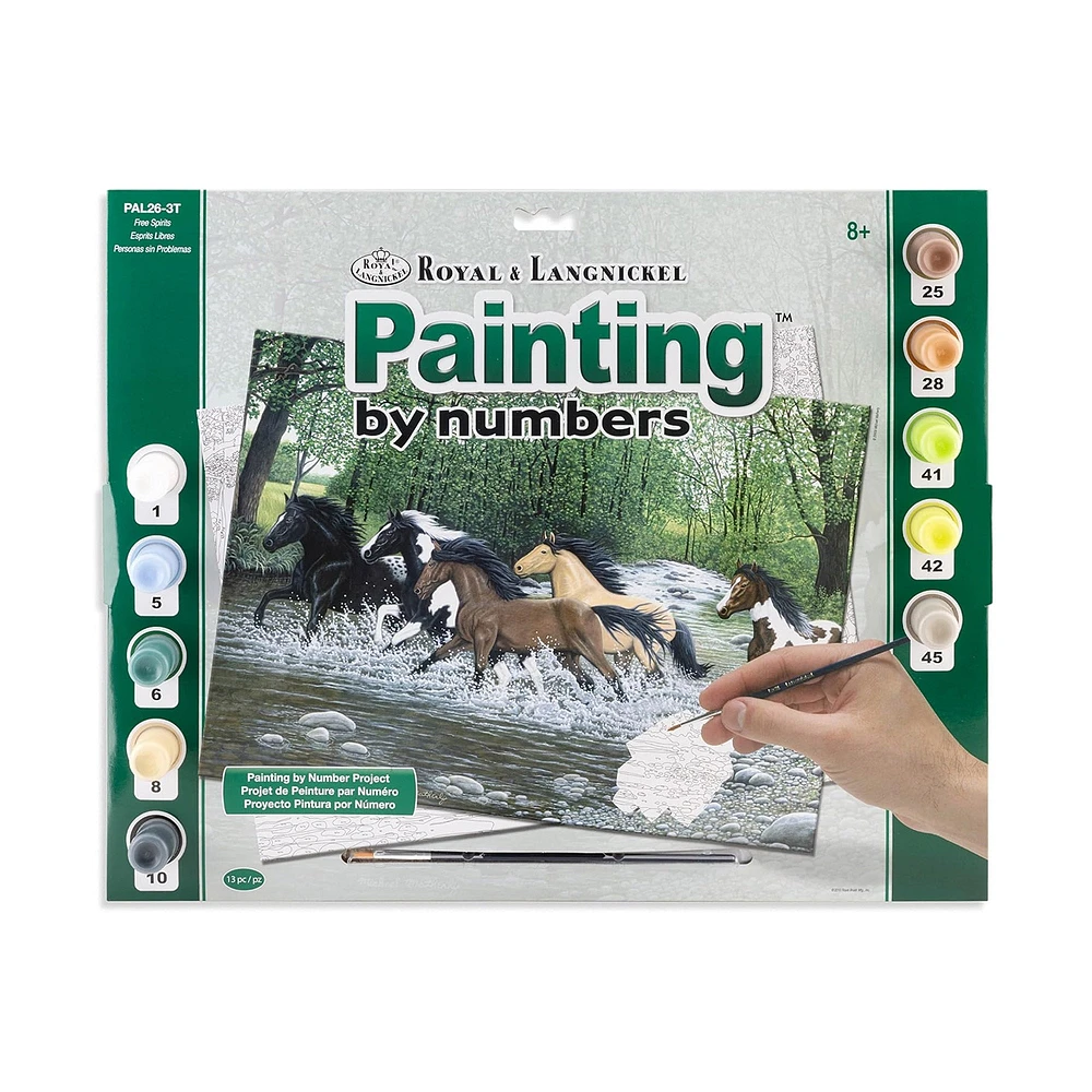 Senior Paint By Nbr 13X16 Free Spirits