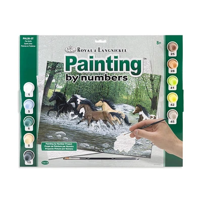 Senior Paint By Nbr 13X16 Free Spirits