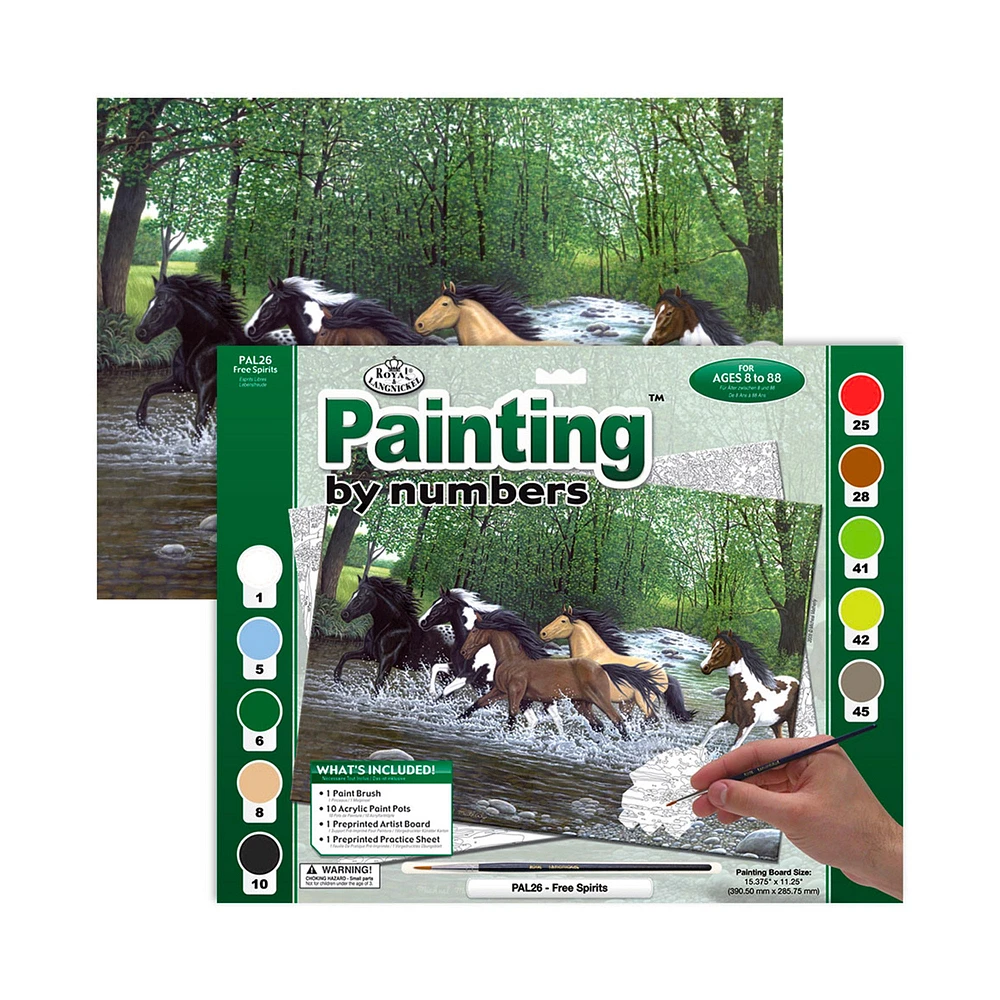 Senior Paint By Nbr 13X16 Free Spirits
