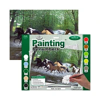 Senior Paint By Nbr 13X16 Free Spirits