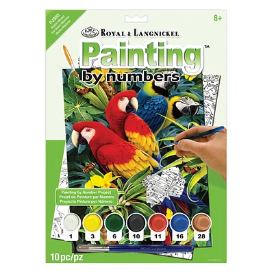 Paint by Numbers - Majestic Macaws