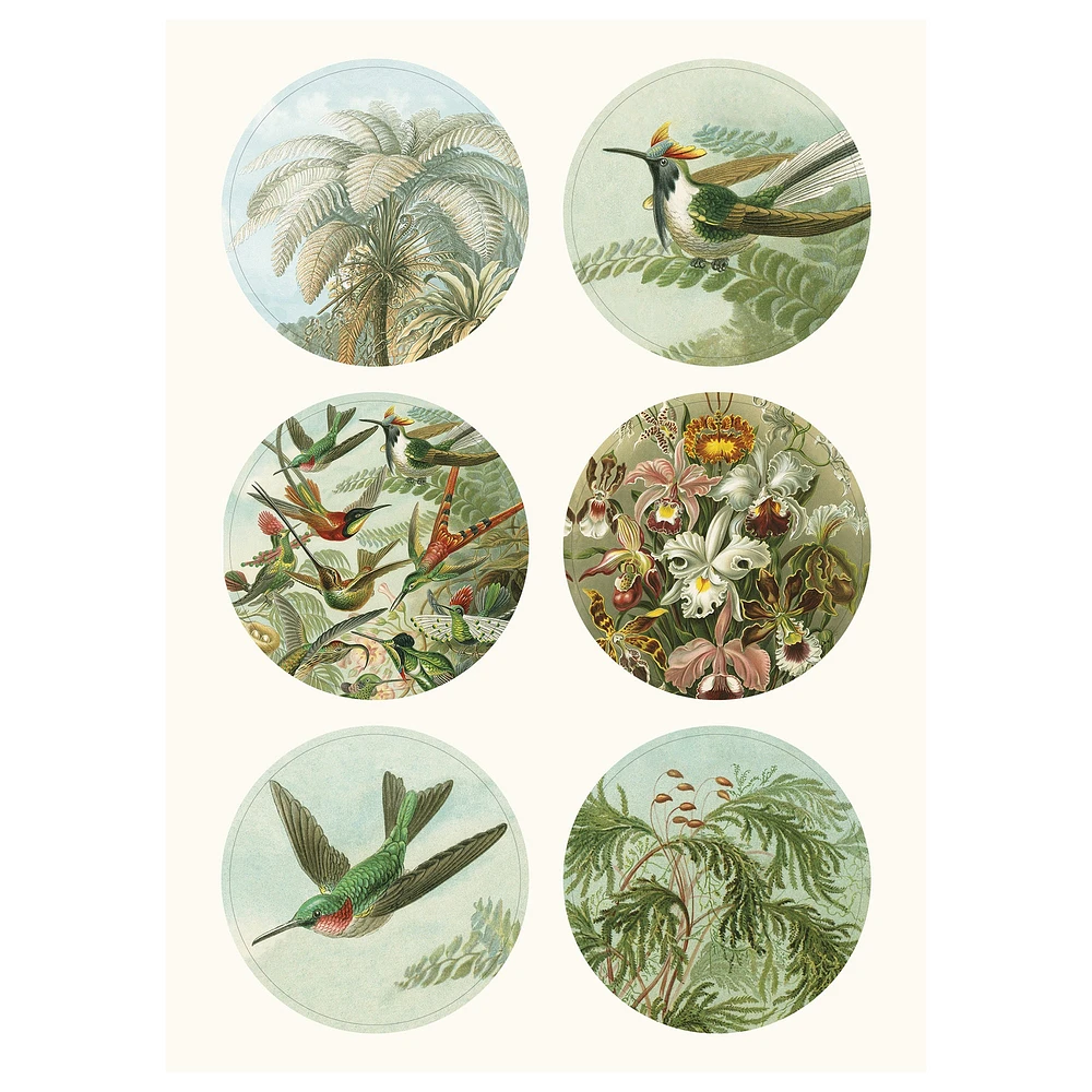 Étiquettes, autocollants & bandes : Art Forms in Nature