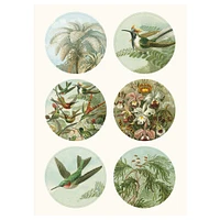 Étiquettes, autocollants & bandes : Art Forms in Nature