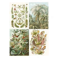 Étiquettes, autocollants & bandes : Art Forms in Nature