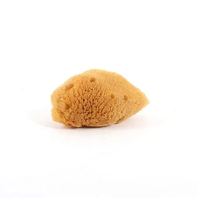 Small sea silk sponge