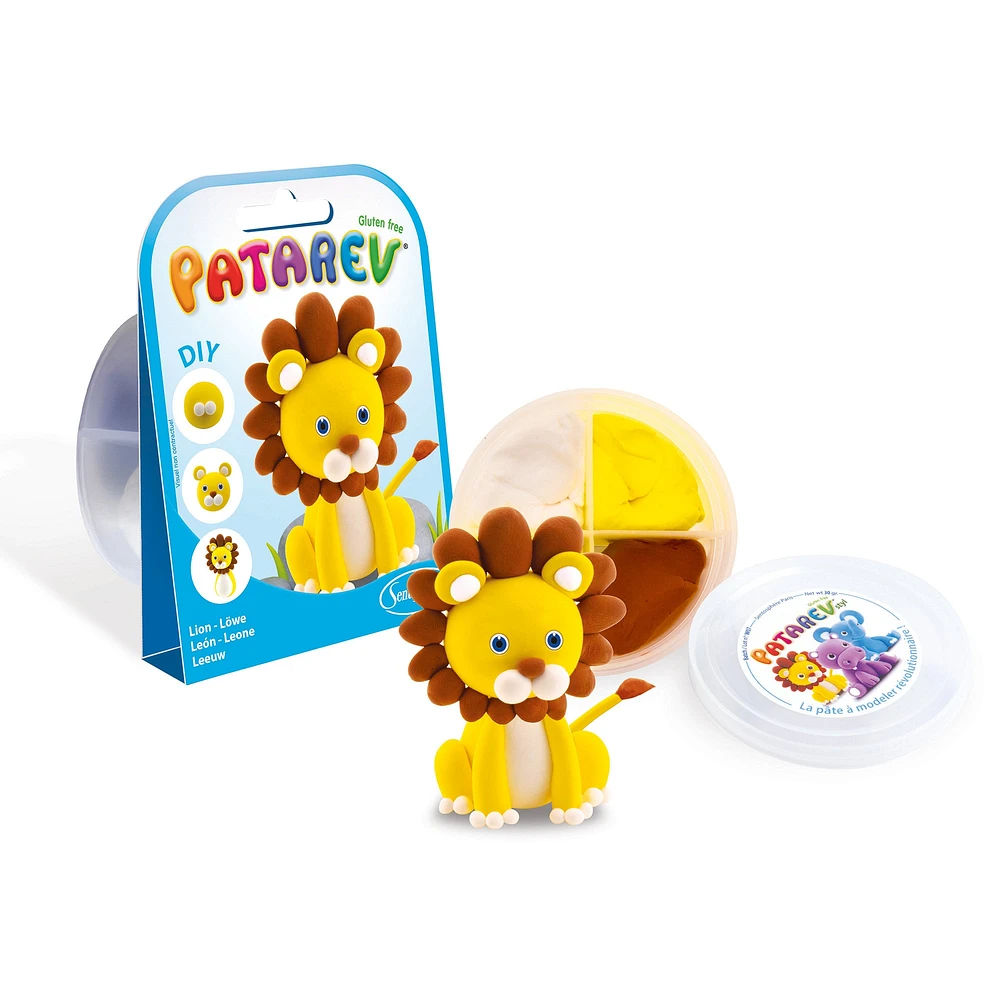 Pocket Patarev Kit