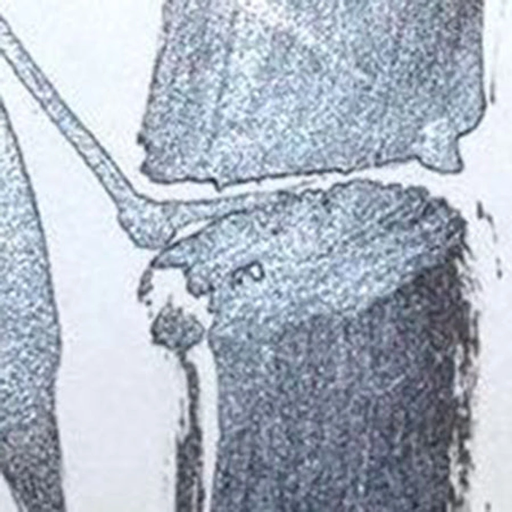 Chinese Ink 180ml – Silver Black