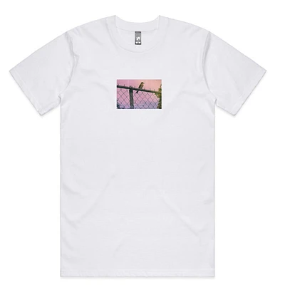 Fotografía Pitirre (T-Shirt)