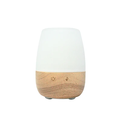 BLISS DIFFUSER