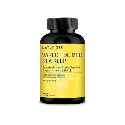 SEA KELP