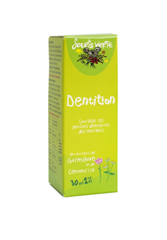 DENTITION