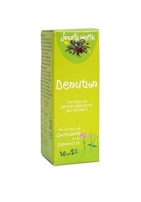 DENTITION