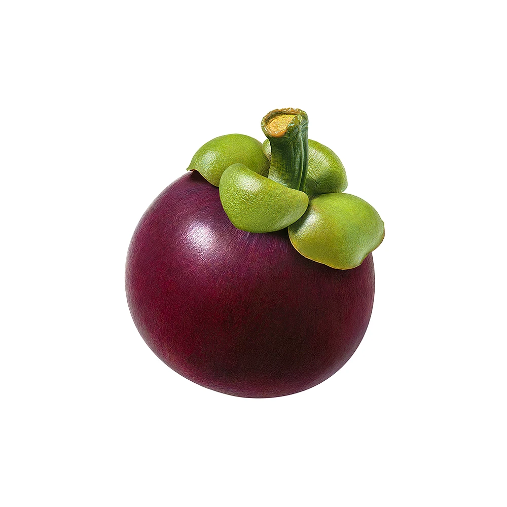 EXOTIC FRUIT POWDERED WATER ENHANCER