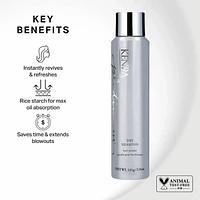 Platinum Dry Shampoo Hair Powder