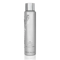 Platinum Dry Shampoo Hair Powder