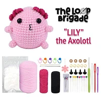 The LOOP Brigade: DIY Mini Crochet Plush Toy Complete Kit For Beginners - Lily the Axolotl