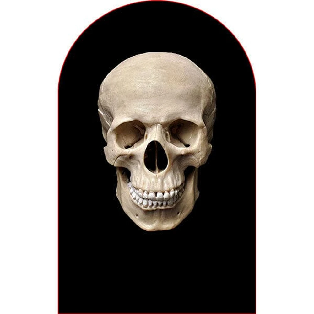 FaceFreakz Sheisty Mask Transparent Halloween Stocking Balaclava (Multiple Styles)