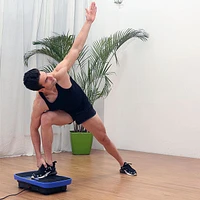 Quantum VibeFIT Renew: Vibration Plate Whole Body Vibration Machine