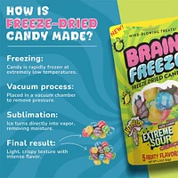 Brain Freeze x Warheads: Extreme Sour Crunch Freeze Dried Candy (2.2oz) Mixed Fruit Flavor
