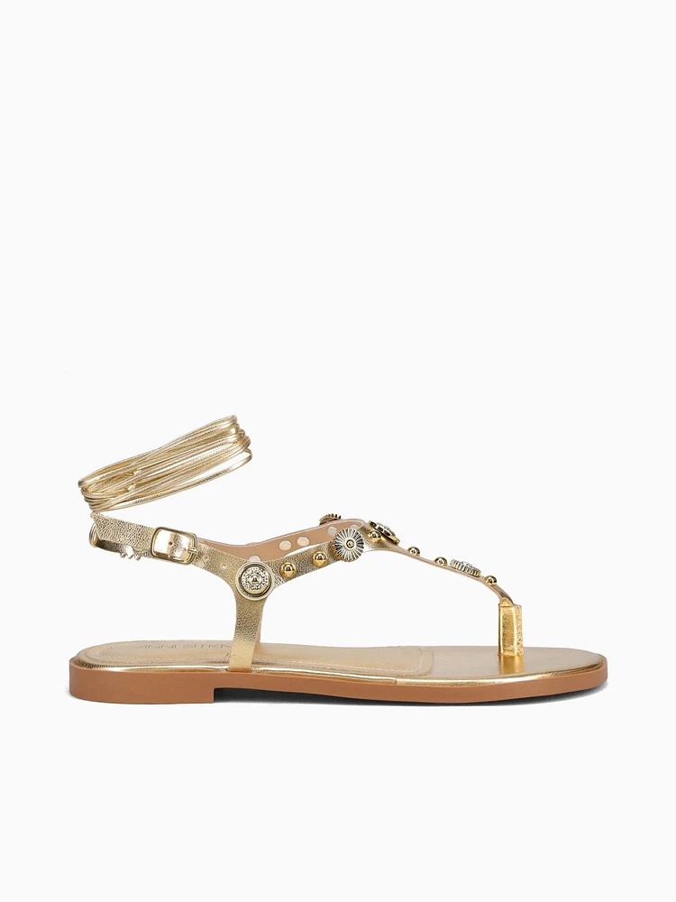 Zelina New Gold Chroma
