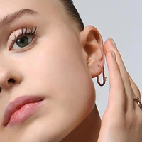 Elegant Oval Earring