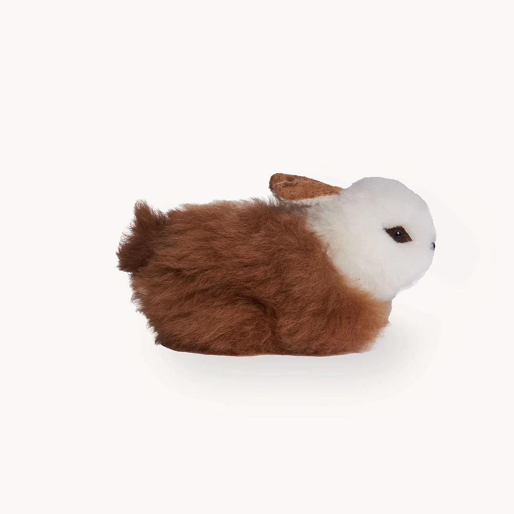 Fur Rabbit