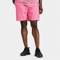 The North Face Never Stop Shorts Red Violet / TNF Black