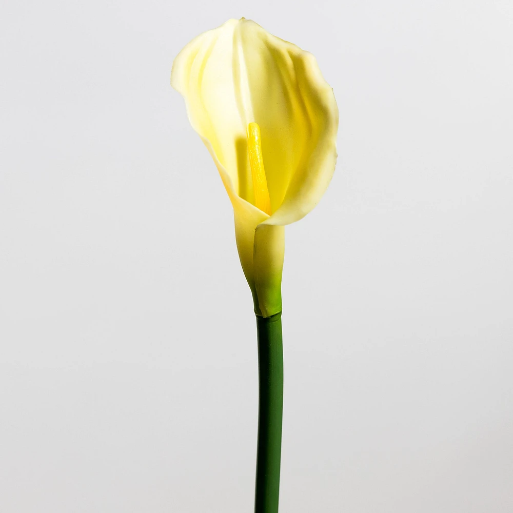 Calla Lily Yellow - Tropics Collection