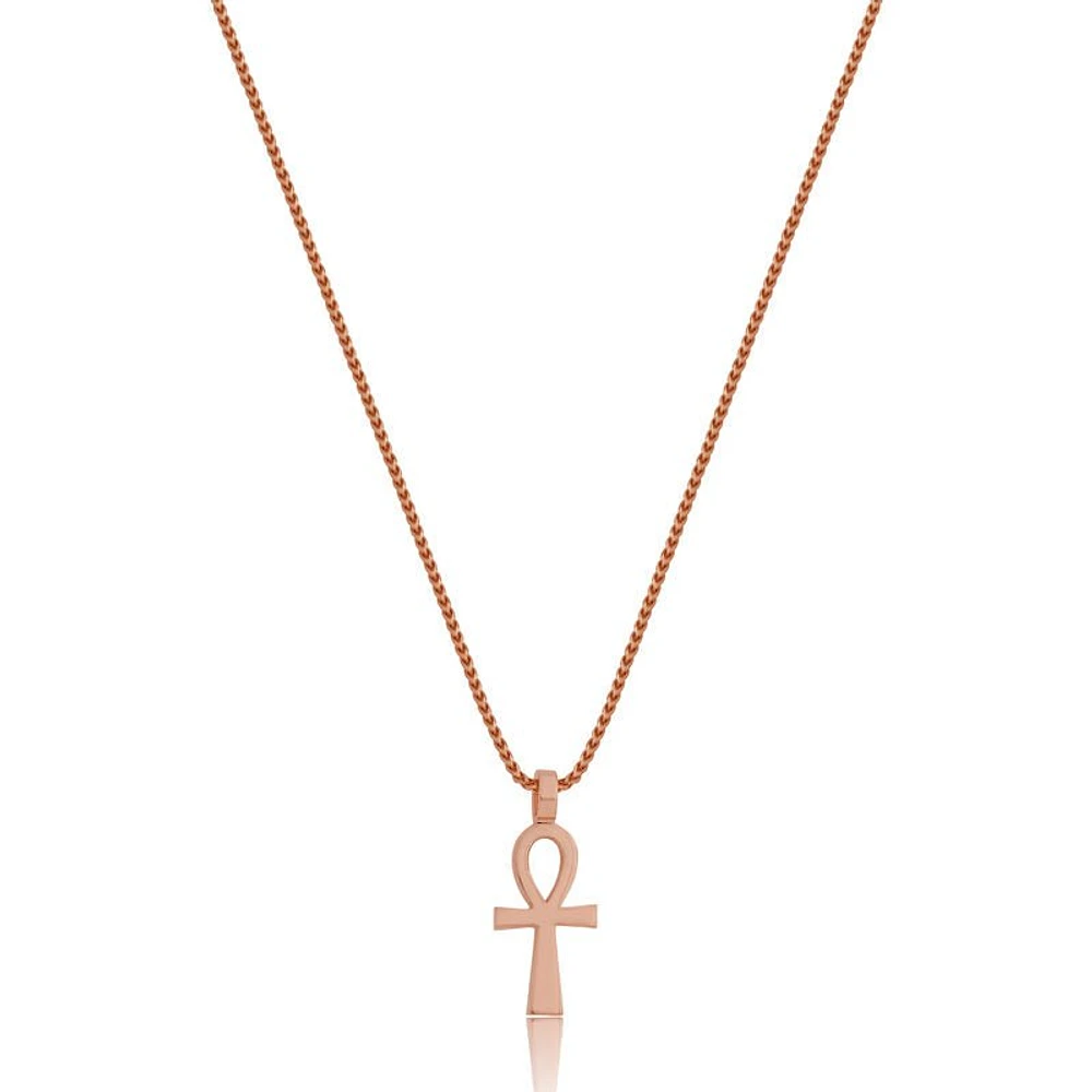 Nano Tori Ankh