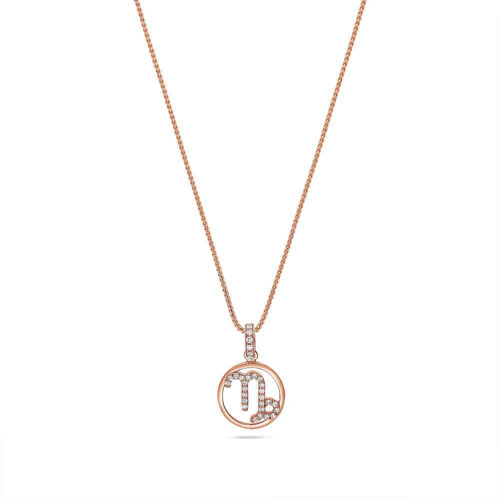 Nano Zodiac Necklace (Capricorn)