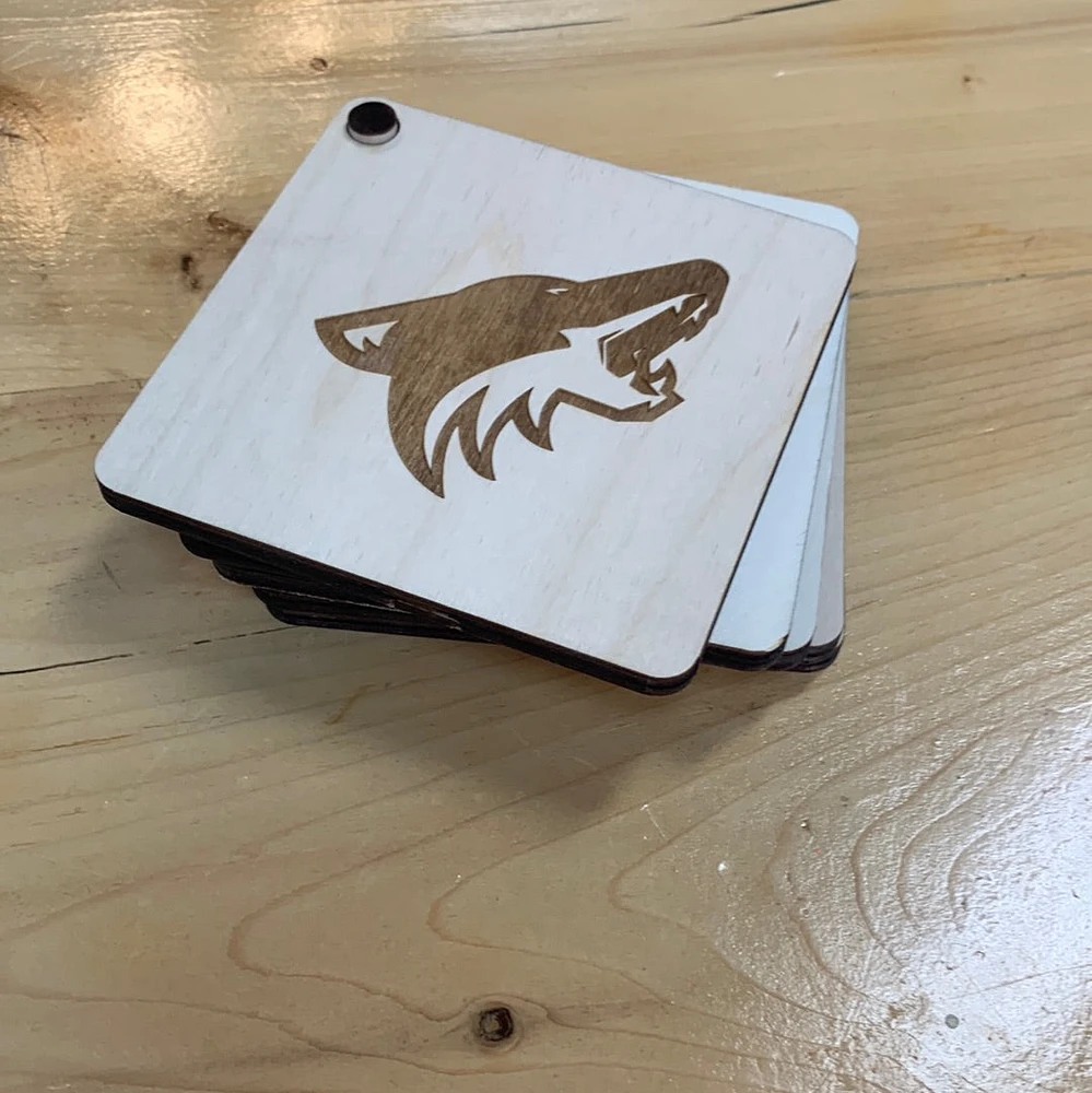 Hockey Team Coaster Sets