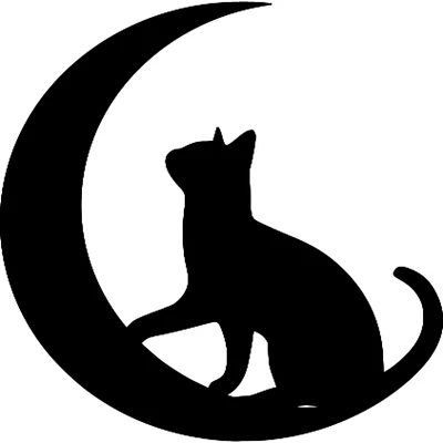 Cat Moon