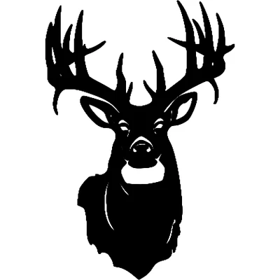 Deer Head
