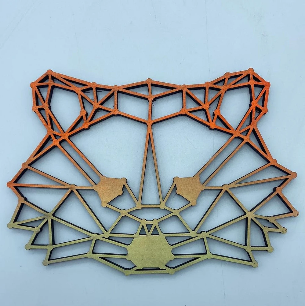 Geometric Raccoon