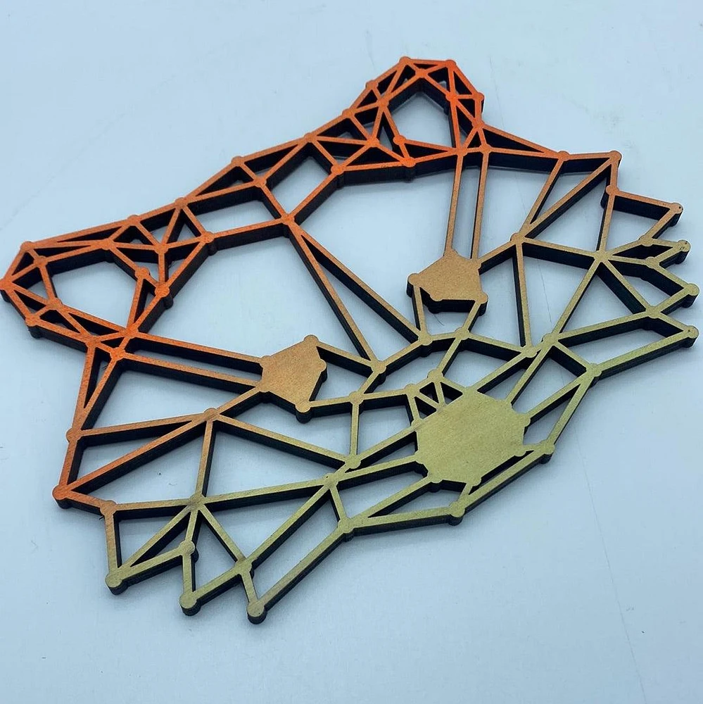 Geometric Raccoon