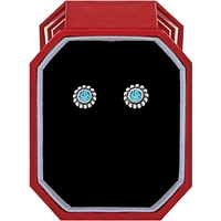 Twinkle Zircon Mini Post Earrings Gift Box