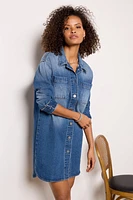 Ever Denim Dress