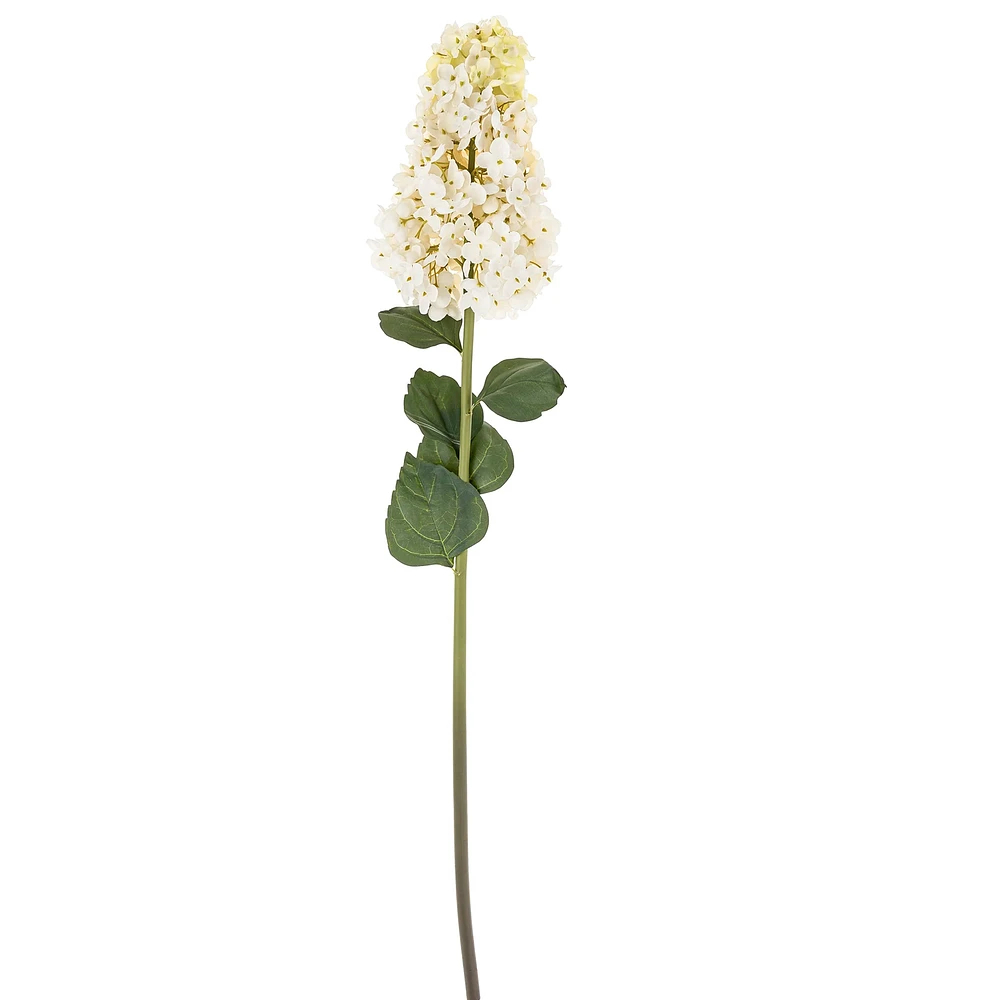 Tige d'hydrangée paniculata - Blanc
