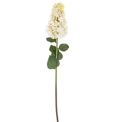 Tige d'hydrangée paniculata - Blanc