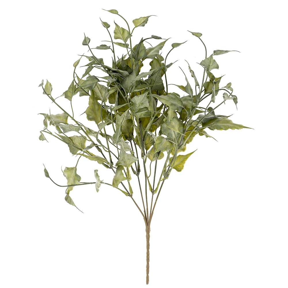 Bouquet de lierre