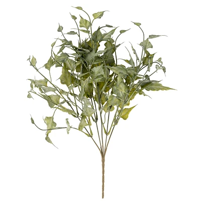 Bouquet de lierre