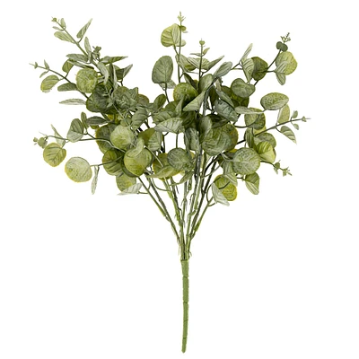 Bouquet d'eucalyptus - Cinerea