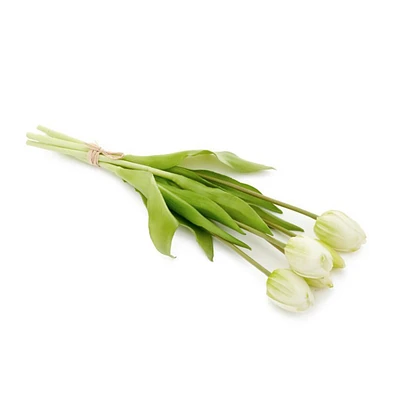 Bouquet tulipes (5) - Verte