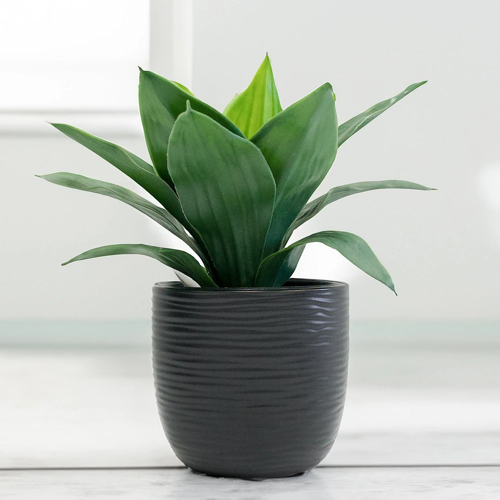 Pot Kaya noir