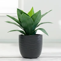 Pot Kaya noir