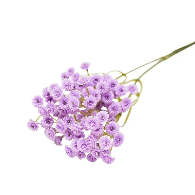 Branche d'allium - Lilas