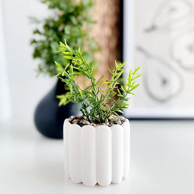 Plante en pot blanc