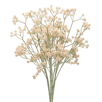 Branche soupir de bébé - Crème